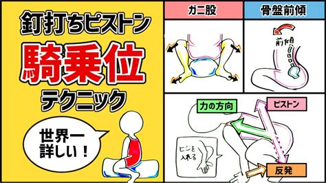 きじょうい 種類|騎乗位とは？ わかりやすく解説